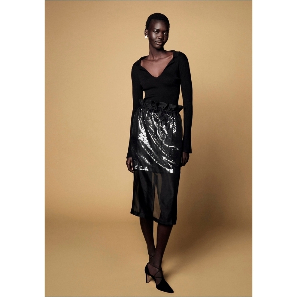 J.Crew Collection Layered Silk Organza Sequin Skirt